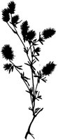 SMR021N.TIF
