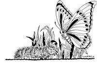 CHW087D.TIF