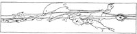 CHW086D.TIF