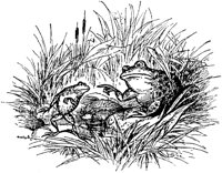 CHW072F.TIF