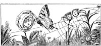 CHW072E.TIF