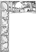 CHW024A.TIF