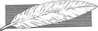 CHW013C.TIF