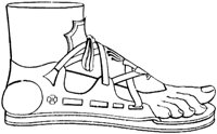 CGR290D.TIF