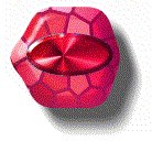 next4.gif