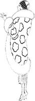 FRI065F.TIF