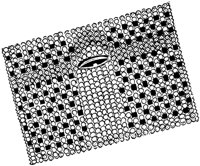 FSH043J.TIF