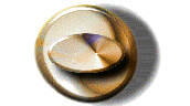 button12.gif