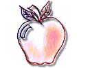 app.gif