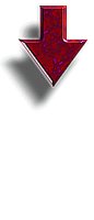anar15.gif
