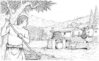 AGR025A.TIF