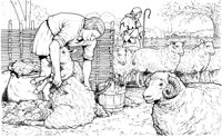 MCS026A.TIF