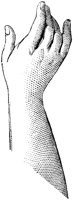 HND010H.TIF