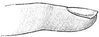 HND052D.TIF