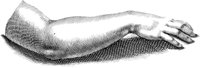 HND077F.TIF