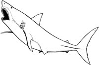 SHI027C.TIF