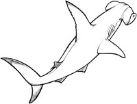 SHI027A.TIF