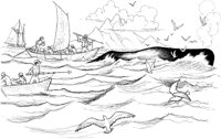 WHL019A.TIF