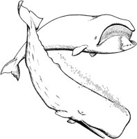WHL000A.TIF