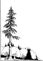 TVL030B.TIF