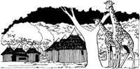 TVL011B.TIF