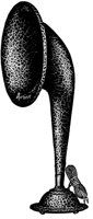 MUS105D.TIF