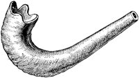 MUS091C.TIF
