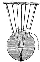 MUS078I.TIF