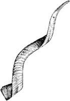 MUS074D.TIF