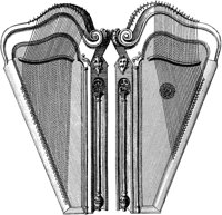 MUS123B.TIF