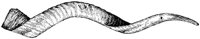 OFM022H.TIF
