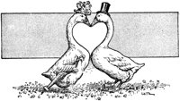 LVR024F.TIF