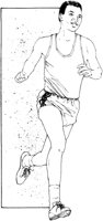 IFN031C.TIF