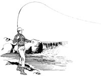 IOD023A.TIF