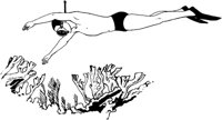 IOD018A.TIF