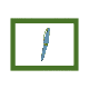 MICRO343.GIF