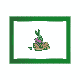 MICRO255.GIF