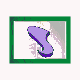 MICRO185.GIF