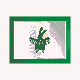 MICRO170.GIF