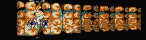 MEGAT193.GIF
