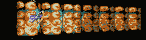 MEGAT188.GIF