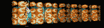 MEGAT181.GIF