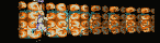 MEGAT179.GIF