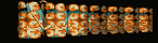 MEGAT171.GIF
