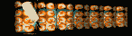 MEGAT158.GIF