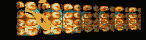 MEGAT155.GIF