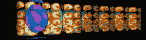 MEGAT150.GIF