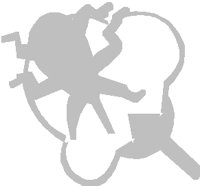 PD045OBW.PCT