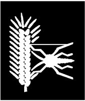 PD045MBI.PCT
