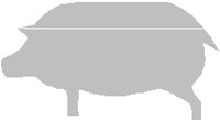 PD046IBW.PCT